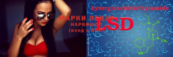 индика Алексеевка