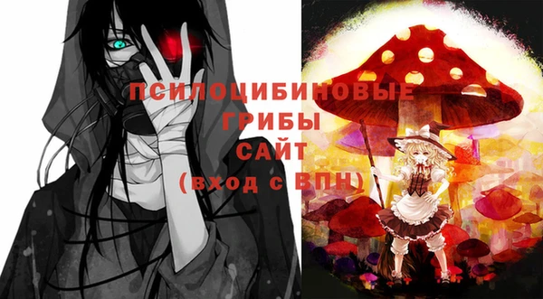 индика Алексеевка
