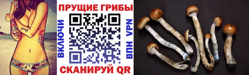 Псилоцибиновые грибы мухоморы  Подольск 